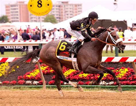 pace horse racing|How Pace Makes the Race: Part 1 .